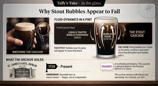 Diagram of the stout cascade: arrows show bubbles rising up the centre of a pint and the return flow dragging small bubbles down the glass walls, beside the archive's St. James's Gate ownership note.
